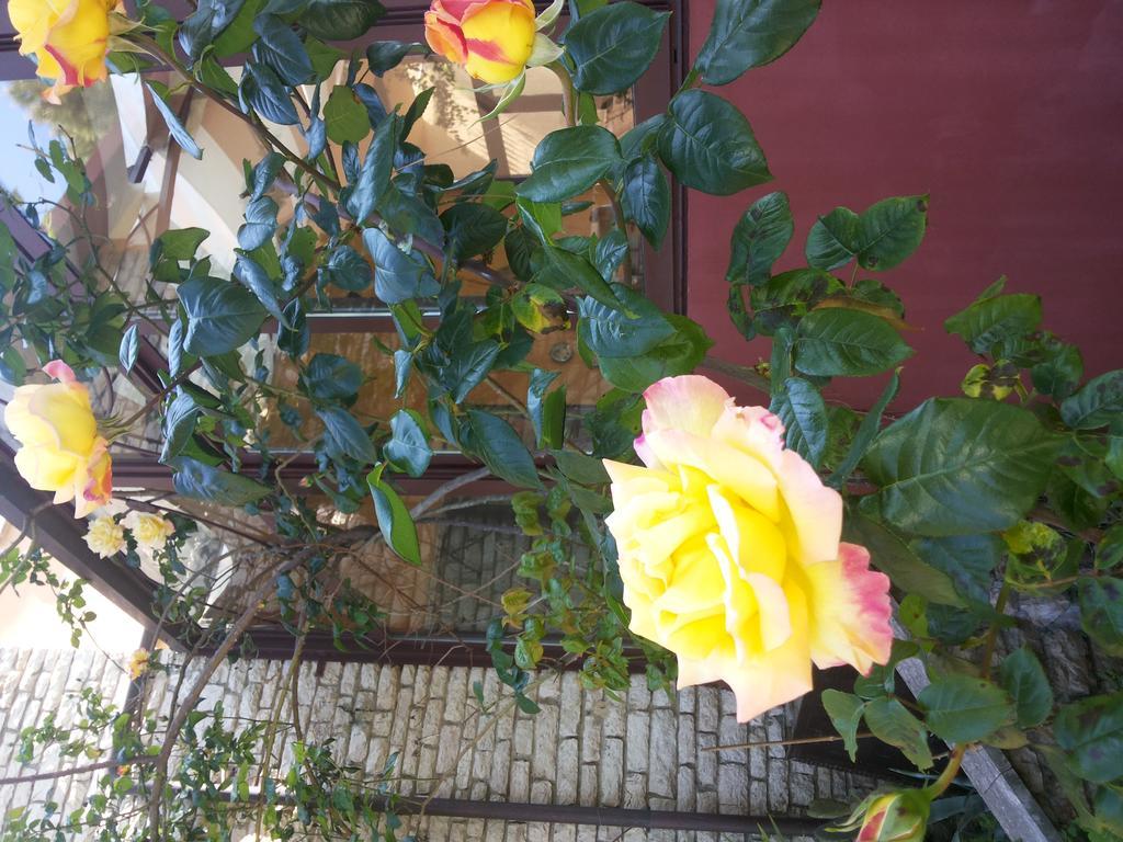 B&B Villa Acero Marina Di Carrara Εξωτερικό φωτογραφία